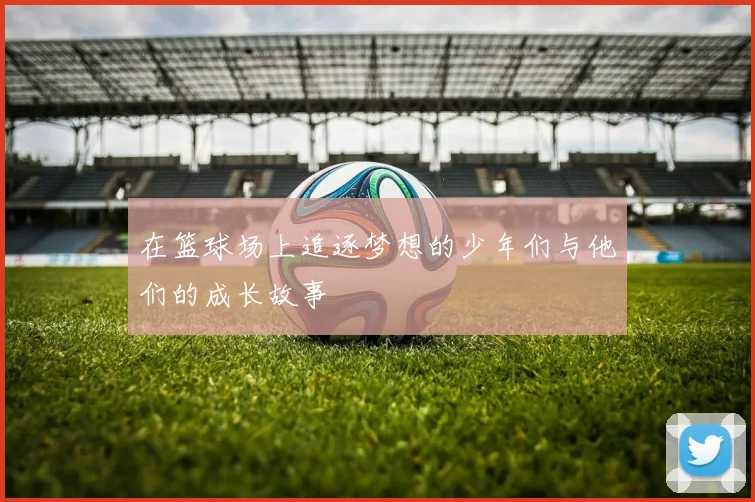 在篮球场上追逐梦想的少年们与他们的成长故事