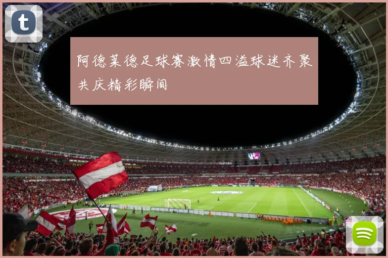 阿德莱德足球赛激情四溢球迷齐聚共庆精彩瞬间