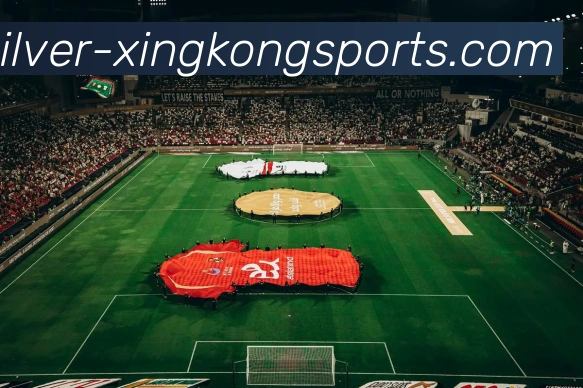 星空体育平台生态图